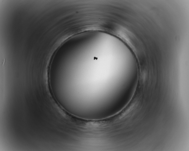 X0000090730898200707201406