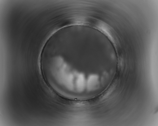X0000090730899200707201406