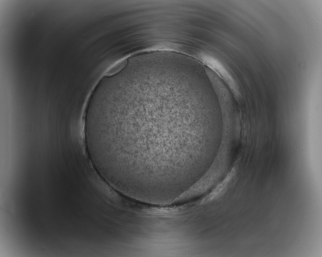 X0000090730900200707201406