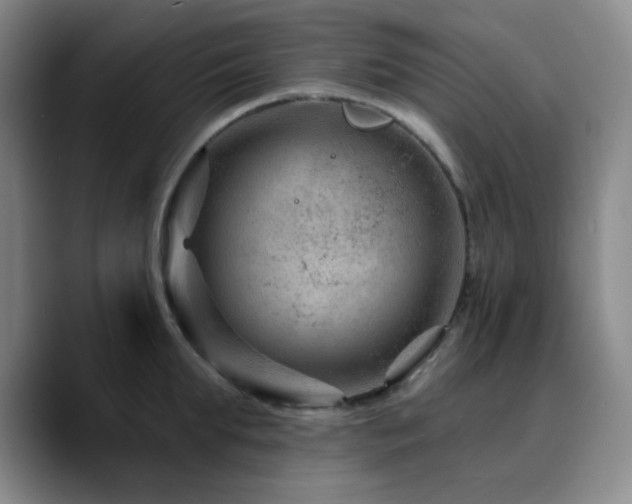 X0000090730903200707201406