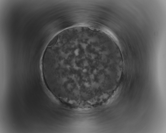 X0000090730907200707201406