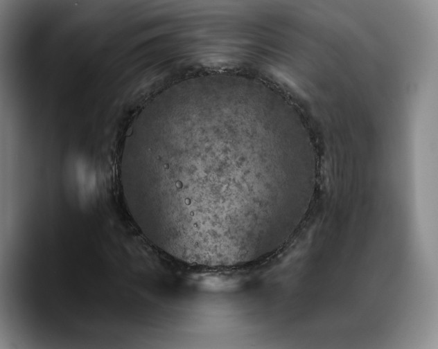 X0000090730917200707201405