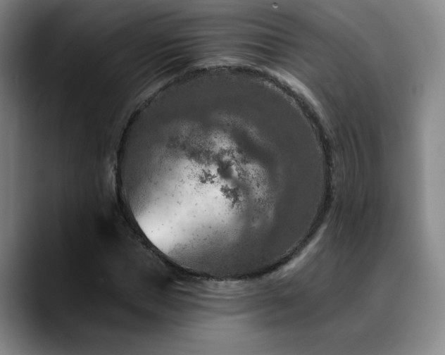 X0000090730921200707201405