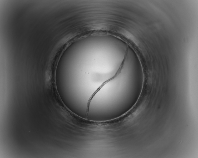 X0000090730922200707201405