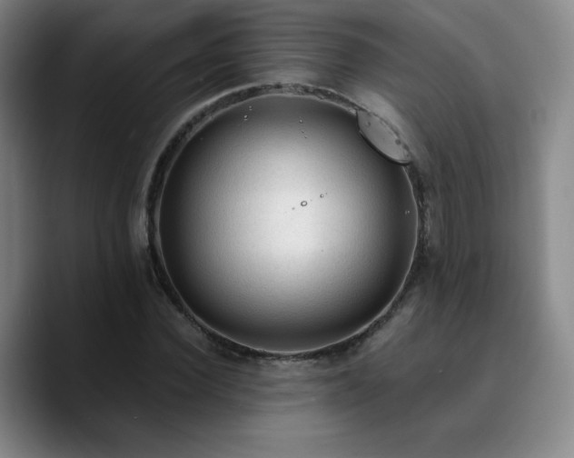 X0000090730924200707201406