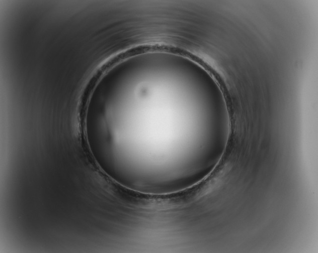 X0000090730927200707201406