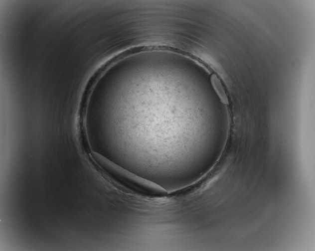X0000090730928200707201406