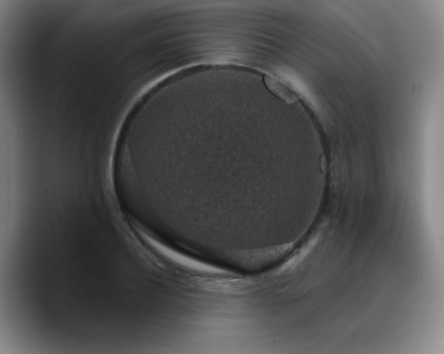 X0000090730932200707201406