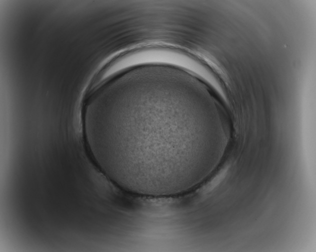 X0000090730934200707201406