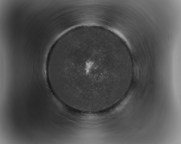 X0000090730935200707201406