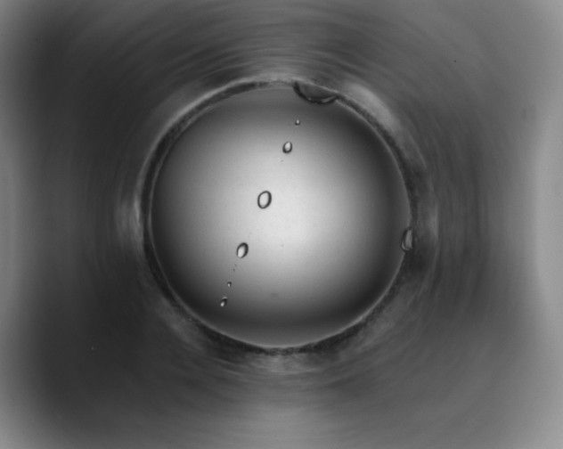 X0000090730936200707201406