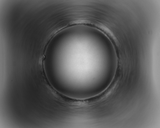 X0000090730937200707201406