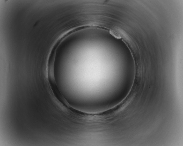 X0000090730940200707201406