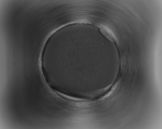 X0000090730944200707201406