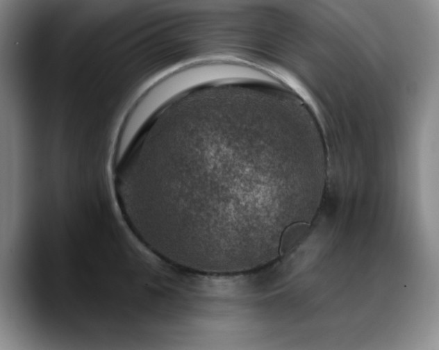 X0000090730951200707201406