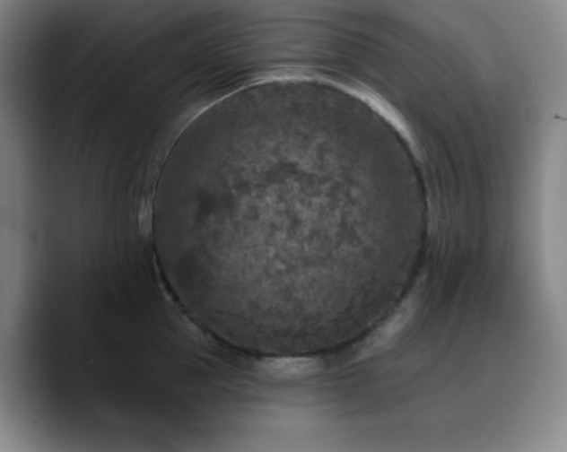 X0000090730953200707201406
