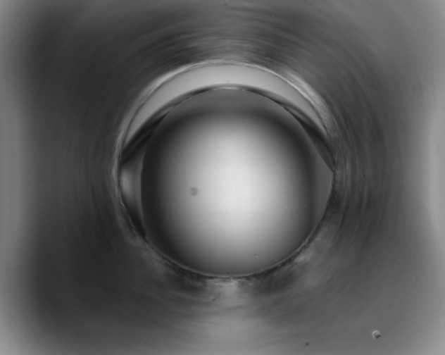 X0000090730956200707201406