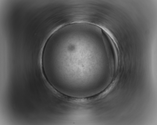 X0000090730957200707201406