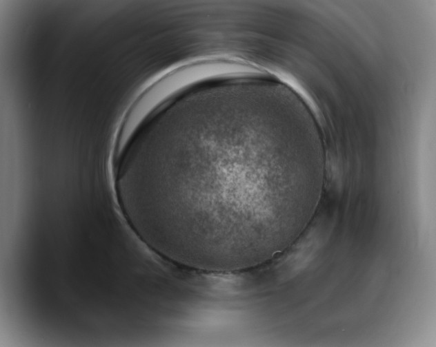 X0000090730959200707201406