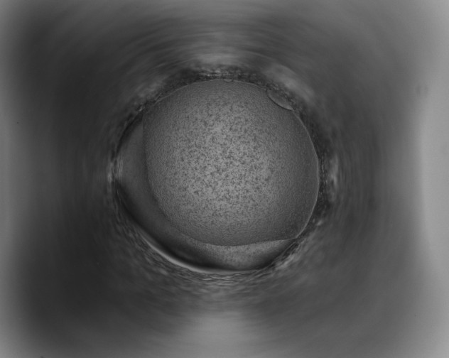 X0000090730965200707201405