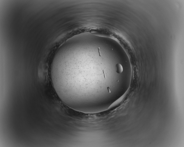 X0000090730968200707201405