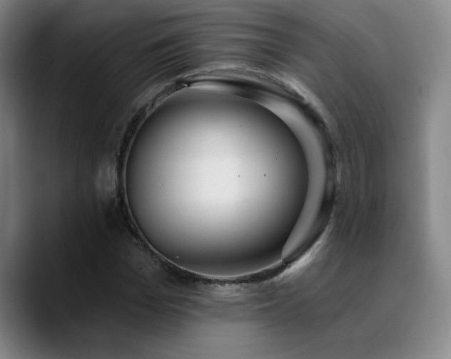 X0000090730969200707201405