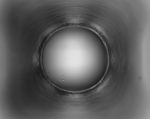 X0000090730970200707201405