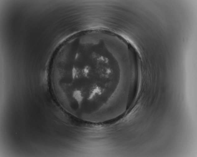 X0000090730975200707201405