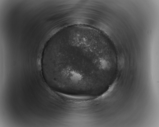 X0000090730977200707201405