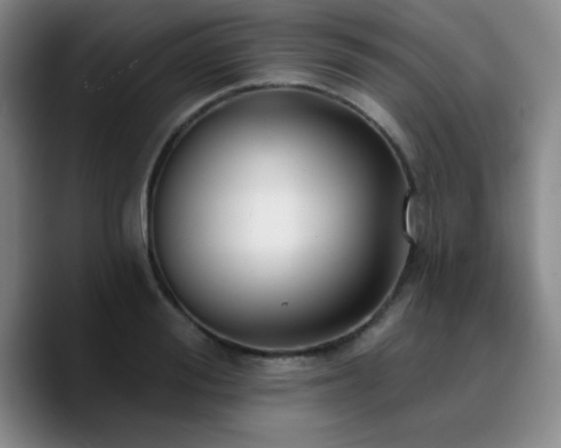 X0000090730988200707201405