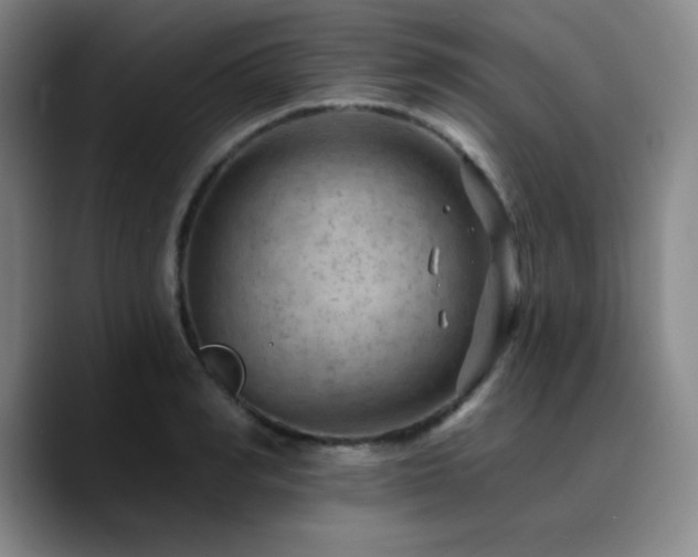 X0000090730990200707201405
