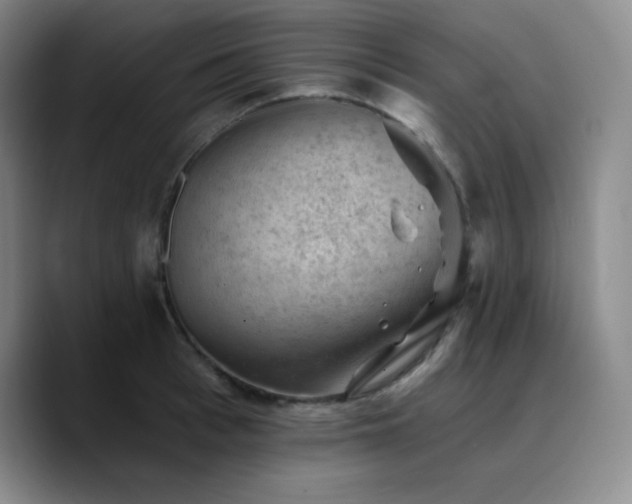 X0000090730993200707201405