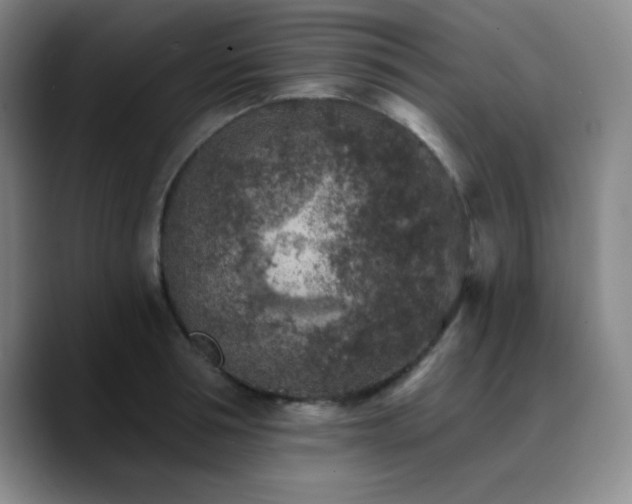 X0000090730994200707201405