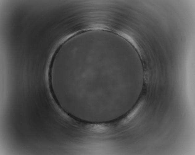 X0000090730995200707201405