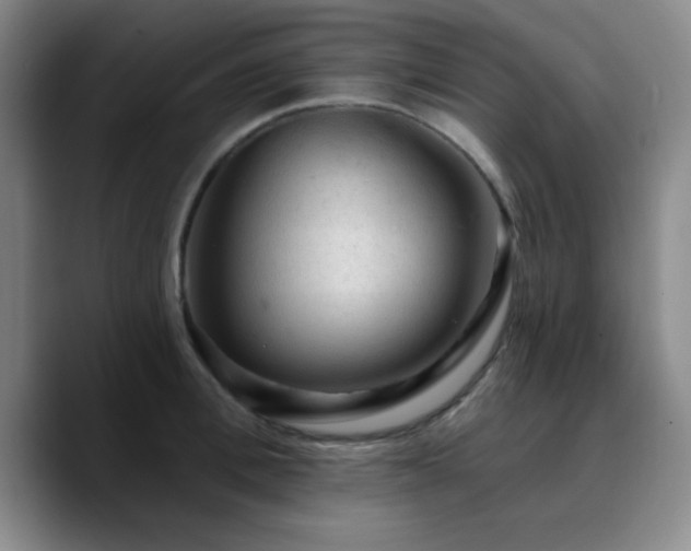 X0000090730996200707201405