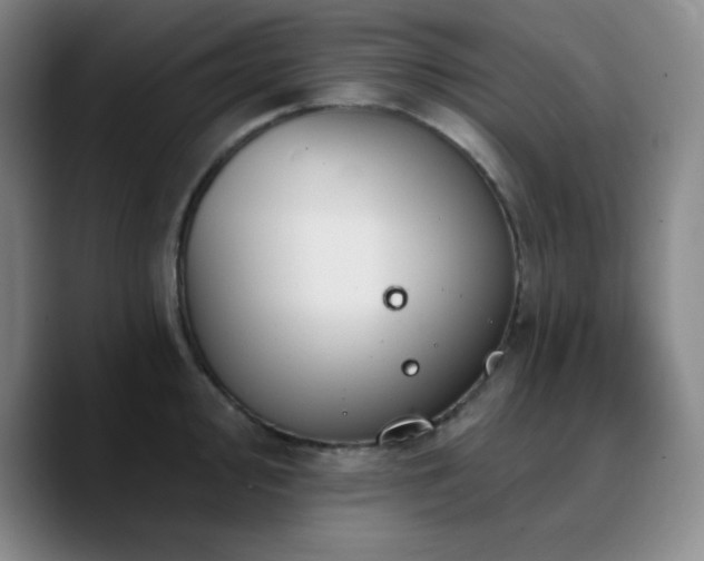 X0000090731000200707201405