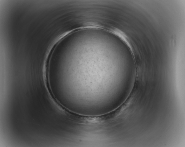 X0000090731003200707201405