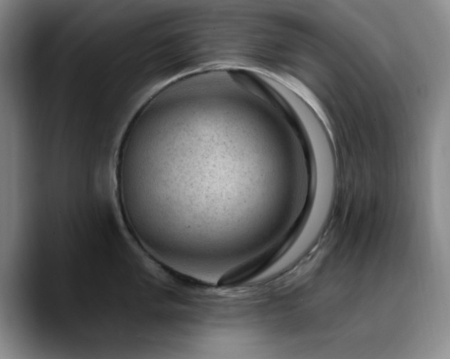 X0000090731005200707201405
