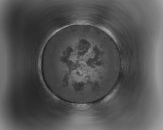 X0000090731007200707201405