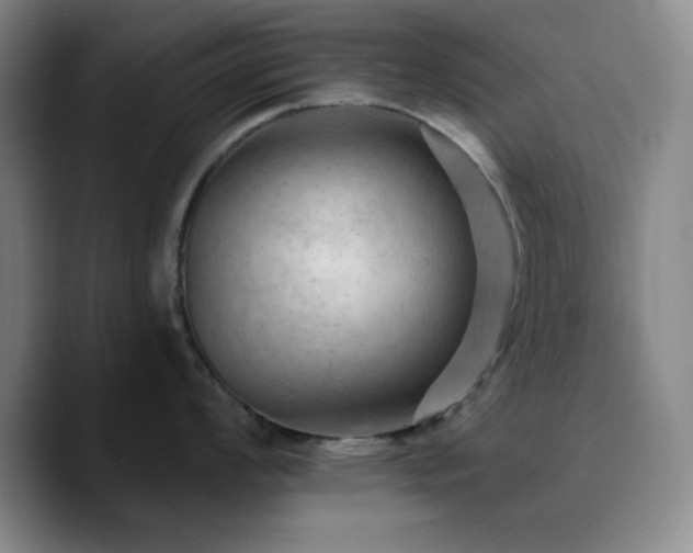 X0000090731008200707201405