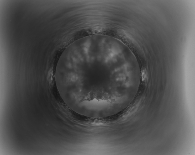 X0000090731011200707201404