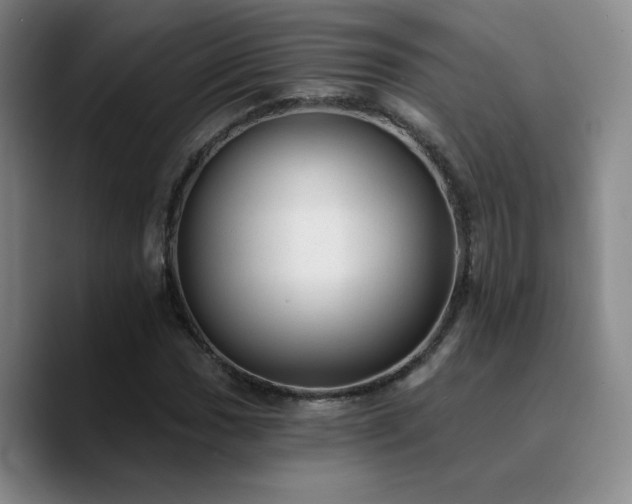 X0000090731017200707201404