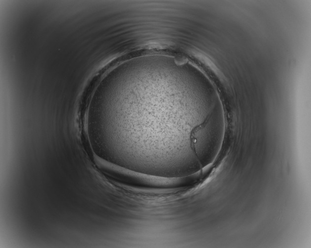 X0000090731018200707201404