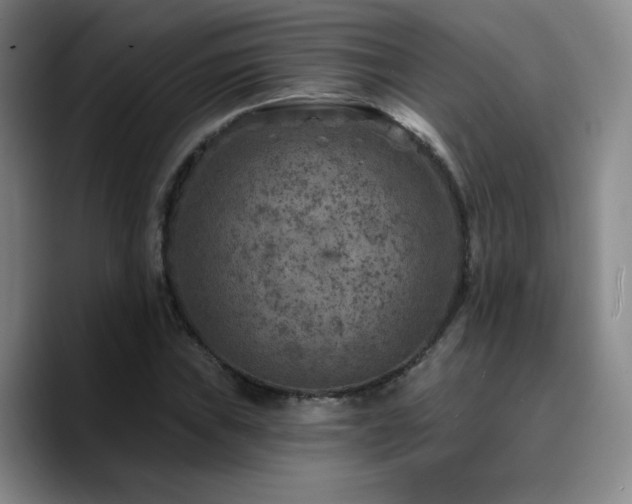X0000090731019200707201404