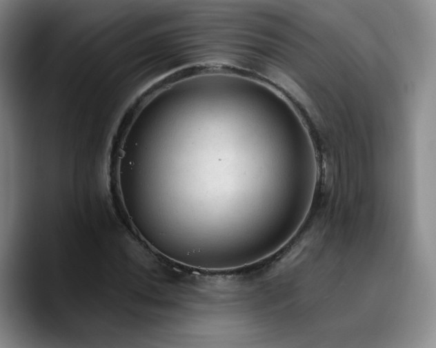 X0000090731020200707201404