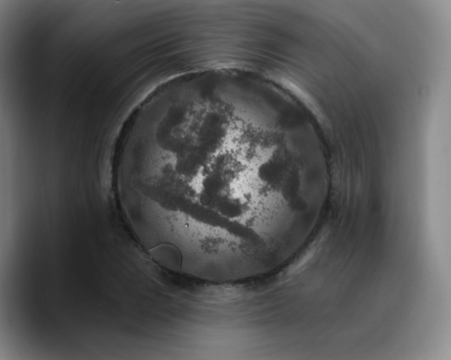 X0000090731023200707201404