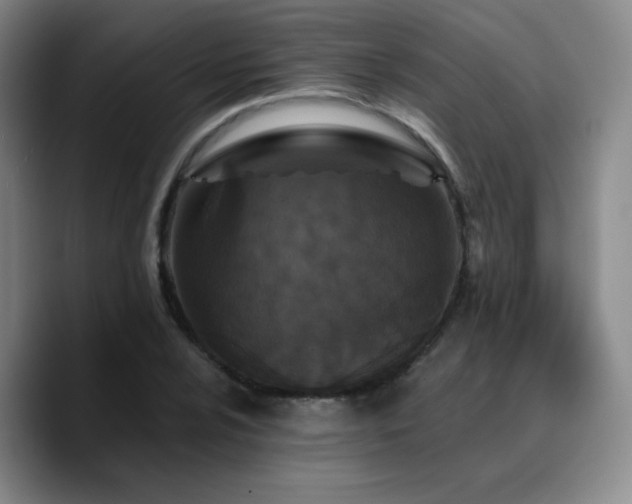 X0000090731024200707201404