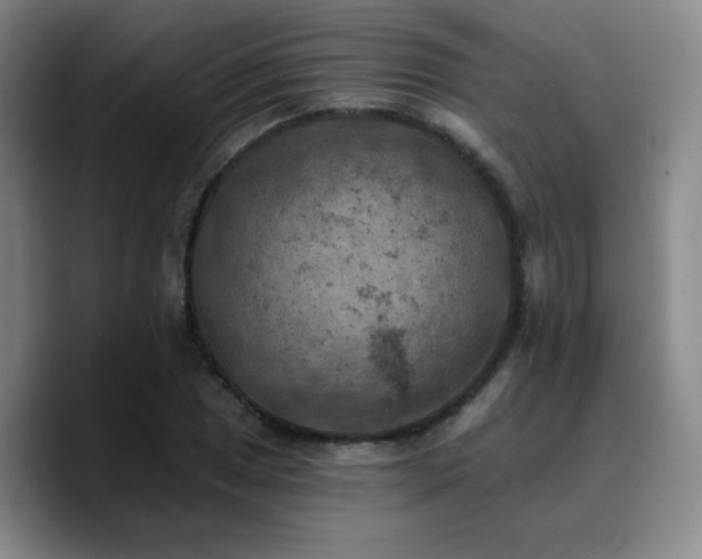 X0000090731025200707201404