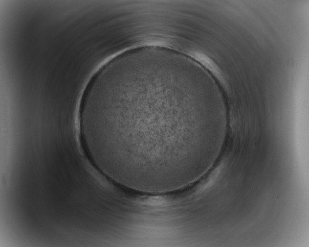 X0000090731028200707201404