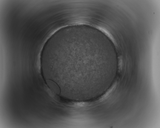 X0000090731031200707201404